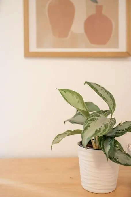 Spacious And Central Flat In Spinola Bay Saint Julian's 0*,  マルタ